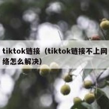 tiktok链接（tiktok链接不上网络怎么解决）