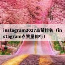 instagram2017点赞排名（instagram点赞量排行）