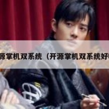 开源掌机双系统（开源掌机双系统好吗）