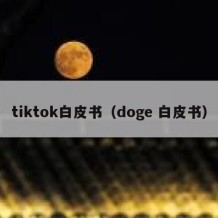 tiktok白皮书（doge 白皮书）