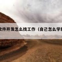 自学软件开发怎么找工作（自己怎么学软件开发）