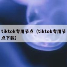 tiktok专用节点（tiktok专用节点下载）