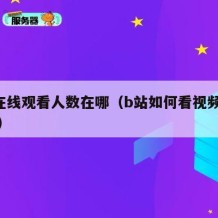 b站在线观看人数在哪（b站如何看视频在线人数）