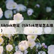 tiktok地址（tiktok地址怎么填）