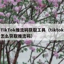 TikTok推流码获取工具（tiktok怎么获取推流码）