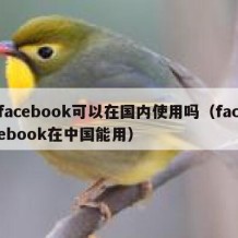 facebook可以在国内使用吗（facebook在中国能用）