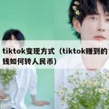 tiktok变现方式（tiktok赚到的钱如何转人民币）