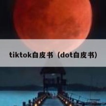 tiktok白皮书（dot白皮书）