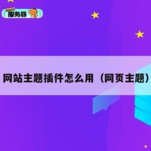 网站主题插件怎么用（网页主题）