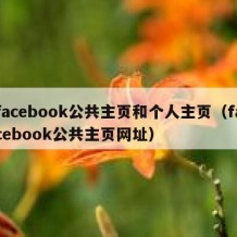 facebook公共主页和个人主页（facebook公共主页网址）