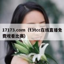17173.com（t3tcc在线直播免费观看比赛）