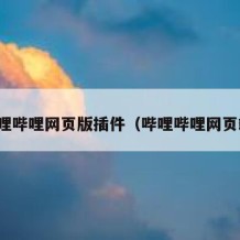 哔哩哔哩网页版插件（哔哩哔哩网页端）