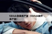 tiktok各国用户量（tiktok国外用户量）