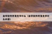 自学软件开发先学什么（自学软件开发先学什么内容）