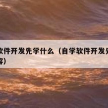 自学软件开发先学什么（自学软件开发先学什么内容）