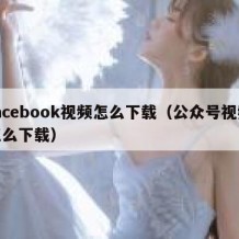 facebook视频怎么下载（公众号视频怎么下载）