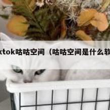 tiktok咕咕空间（咕咕空间是什么软件）