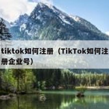 tiktok如何注册（TikTok如何注册企业号）