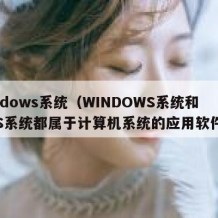 windows系统（WINDOWS系统和DOS系统都属于计算机系统的应用软件层）