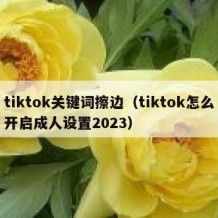 tiktok关键词擦边（tiktok怎么开启成人设置2023）