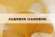 什么是开源代码（什么叫开源代码）