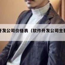 软件开发公司价格表（软件开发公司主要做什么的）