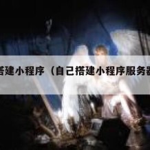 自己搭建小程序（自己搭建小程序服务器程序）