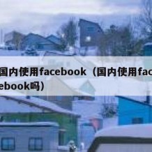 国内使用facebook（国内使用facebook吗）