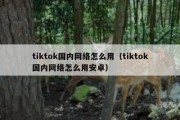 tiktok国内网络怎么用（tiktok国内网络怎么用安卓）