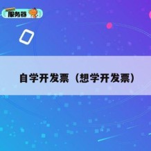 自学开发票（想学开发票）