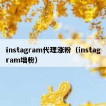 instagram代理涨粉（instagram增粉）