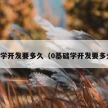 自学开发要多久（0基础学开发要多久）