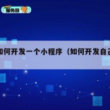 自己如何开发一个小程序（如何开发自己的小程序）