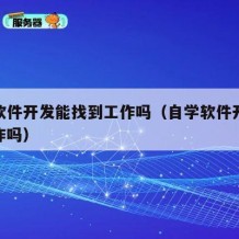自学软件开发能找到工作吗（自学软件开发好找工作吗）
