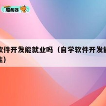自学软件开发能就业吗（自学软件开发能就业吗女生）