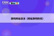 源码网站违法（网站源码购买）