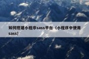 如何搭建小程序sass平台（小程序中使用sass）