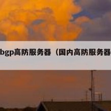 国内bgp高防服务器（国内高防服务器哪个好）