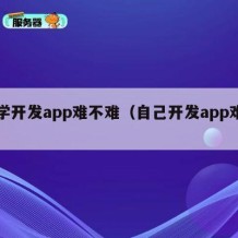 自学开发app难不难（自己开发app难吗）