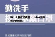 tiktok股权结构图（tiktok股东持股比例图）