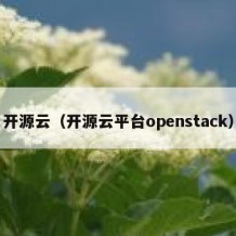 开源云（开源云平台openstack）