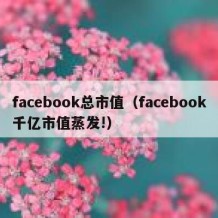 facebook总市值（facebook千亿市值蒸发!）