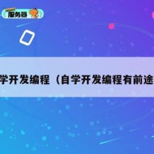 自学开发编程（自学开发编程有前途吗）