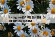 instagram客户评论怎么翻译（ins里面的评论怎么翻译）