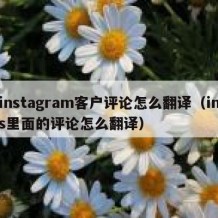 instagram客户评论怎么翻译（ins里面的评论怎么翻译）