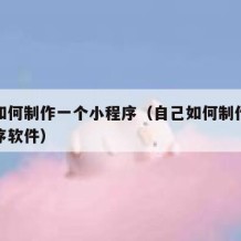 自己如何制作一个小程序（自己如何制作一个小程序软件）