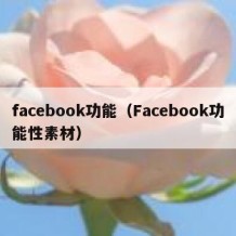 facebook功能（Facebook功能性素材）