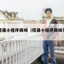 如何搭建小程序商城（搭建小程序商城多少钱）