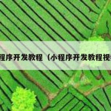 小程序开发教程（小程序开发教程视频）