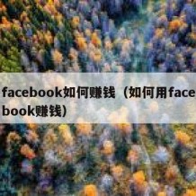 facebook如何赚钱（如何用facebook赚钱）